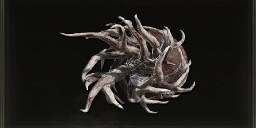 The Spiralhorn shield in Elden ring 