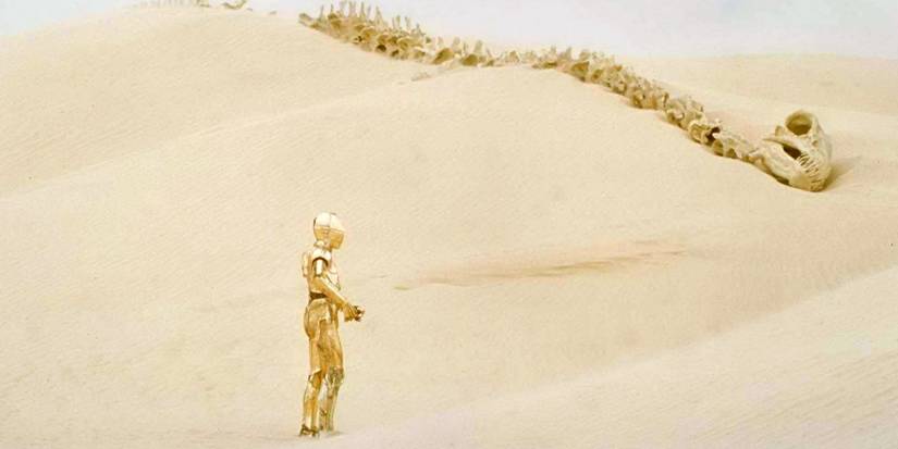 Stat Wars Episode IV A New Hope C-3PO Krayt Dragon Skeleton Cropped