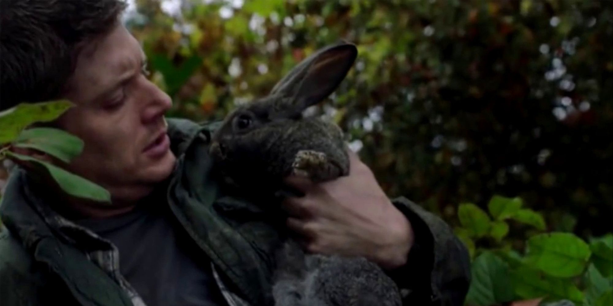 Supernatural Dean Winchester Bunny 