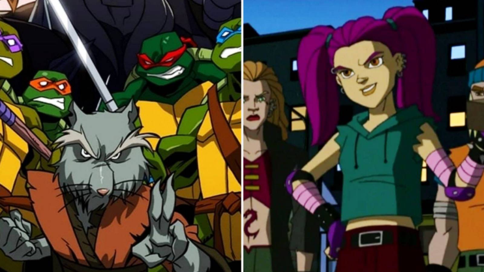 Teenage Mutant Ninja Turtles Best Human Allies