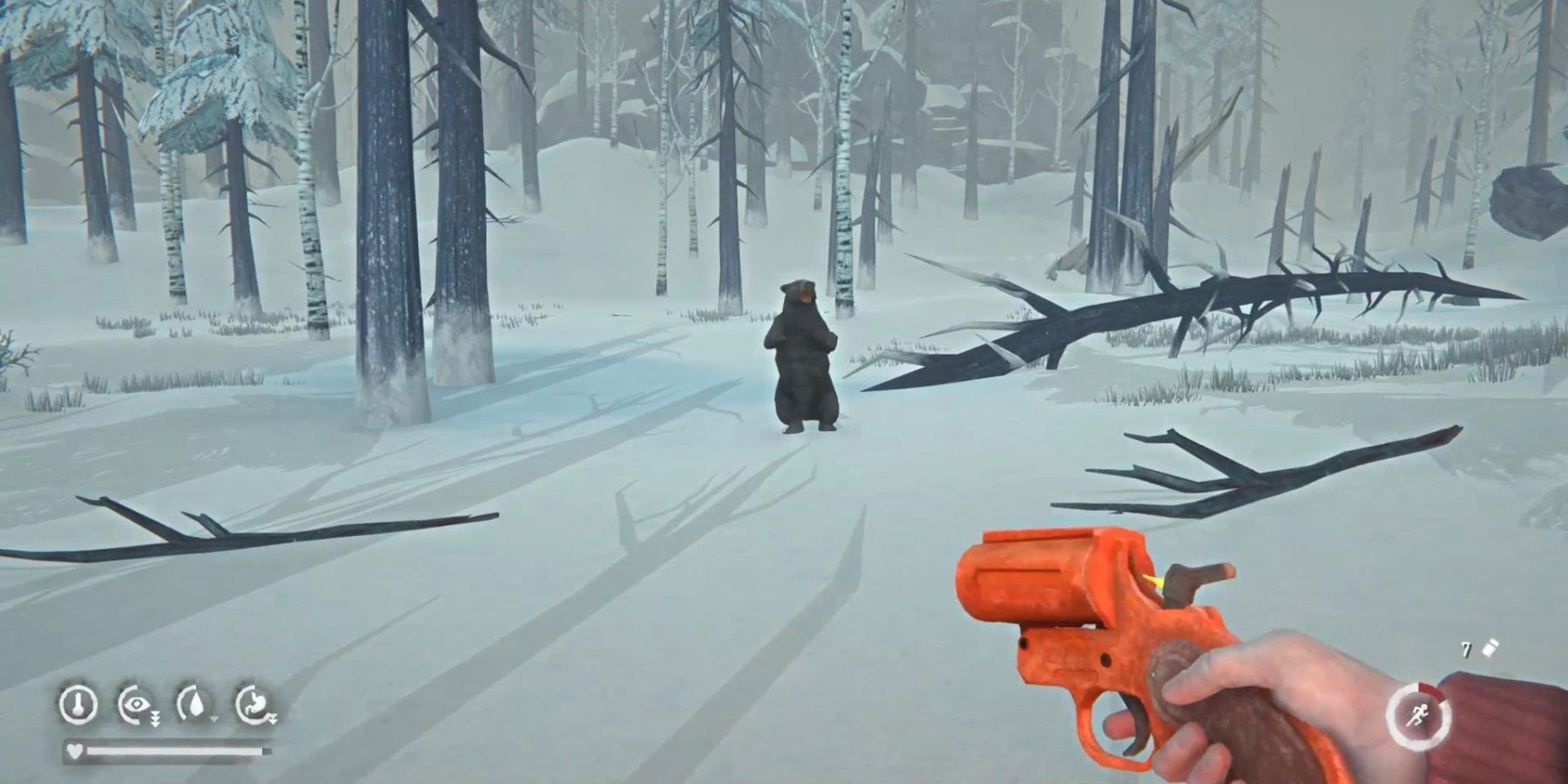 The Forest Flare Gun on a bear