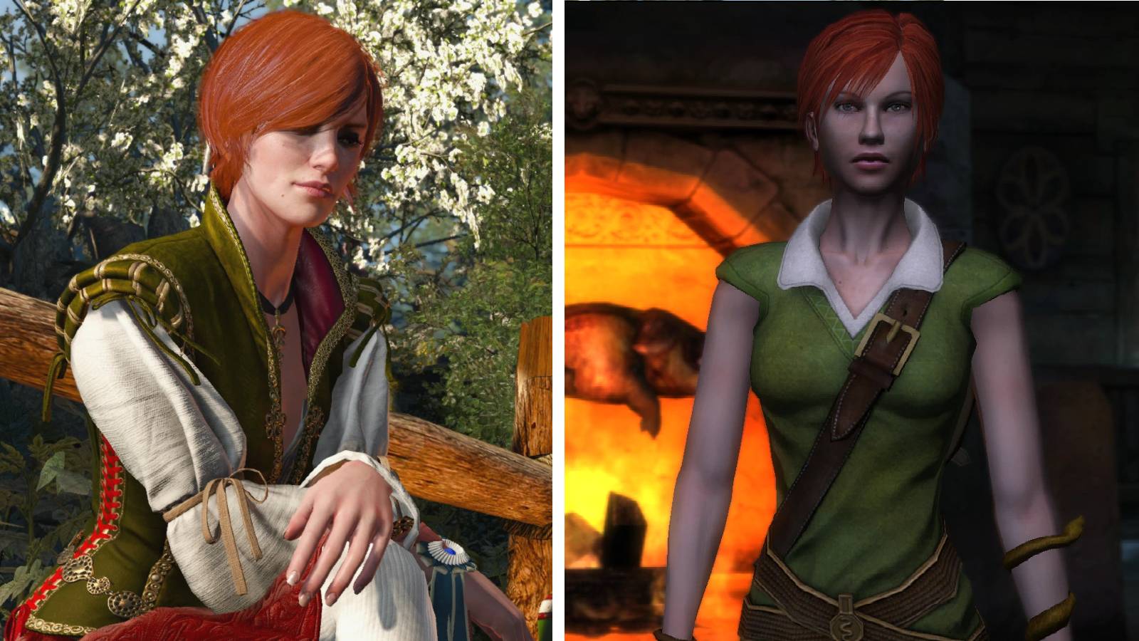 The Witcher Shani in 1 and 3 Wild Hunt