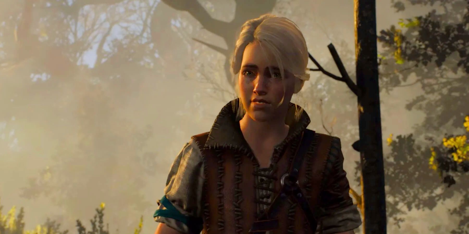 The Witcher 3 young ciri