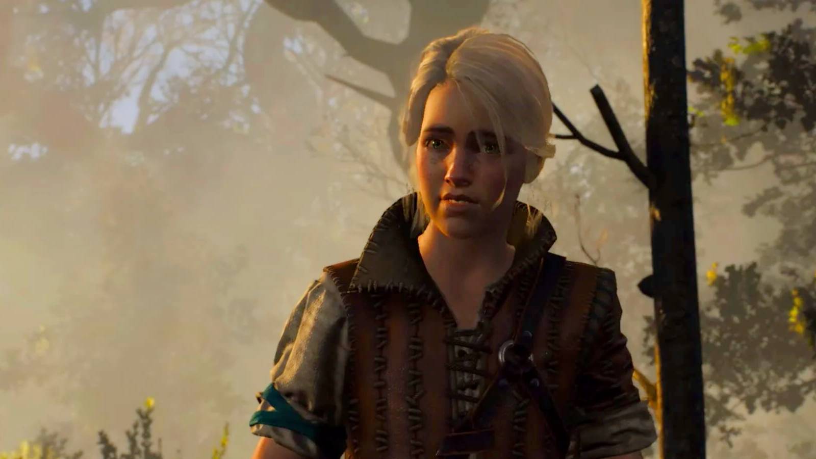 The Witcher 3 young ciri