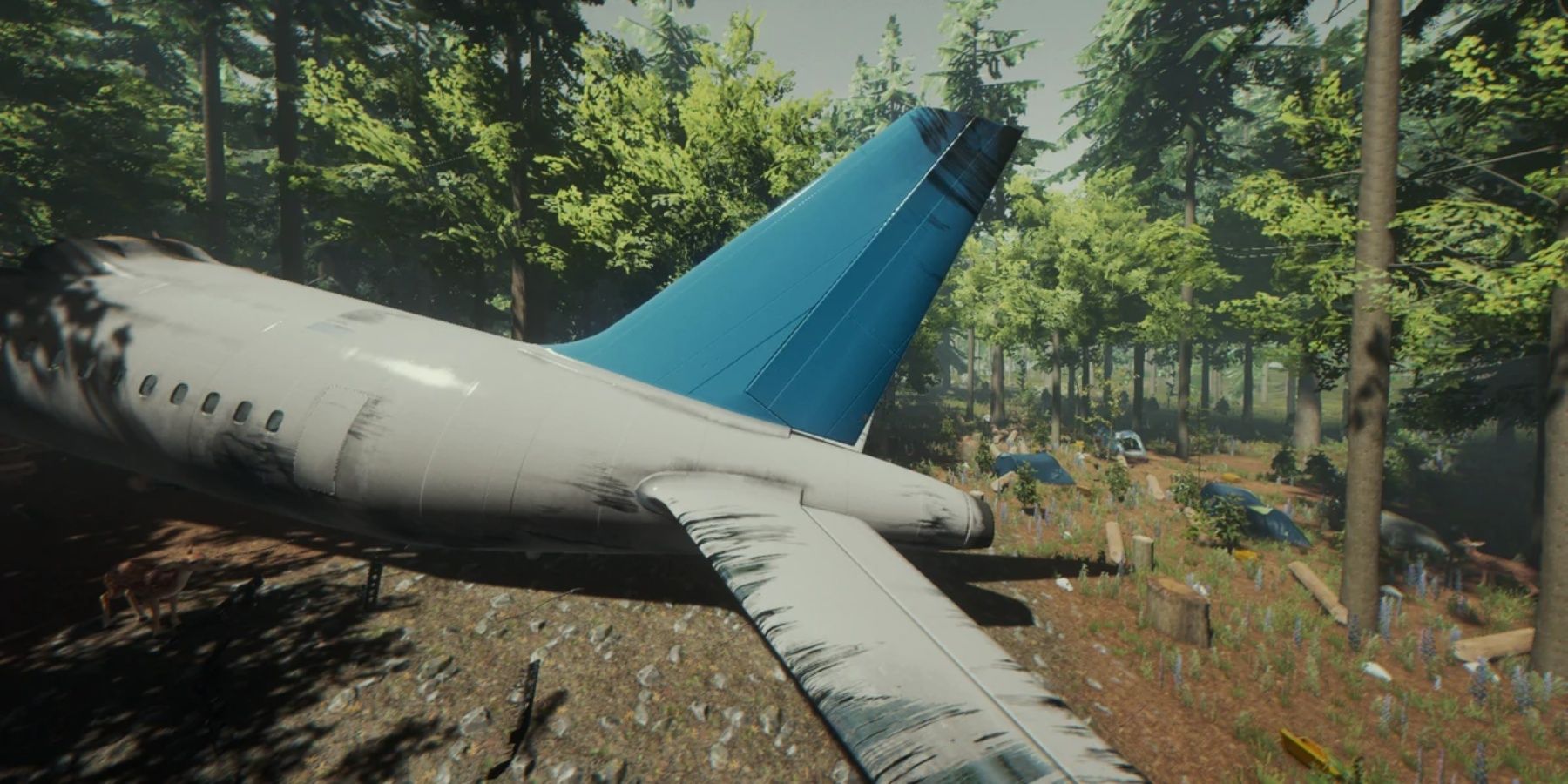 The Plane in The Forest
