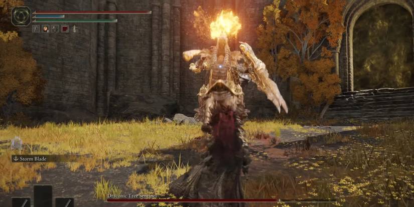 Tree Sentinel Using Fireball 