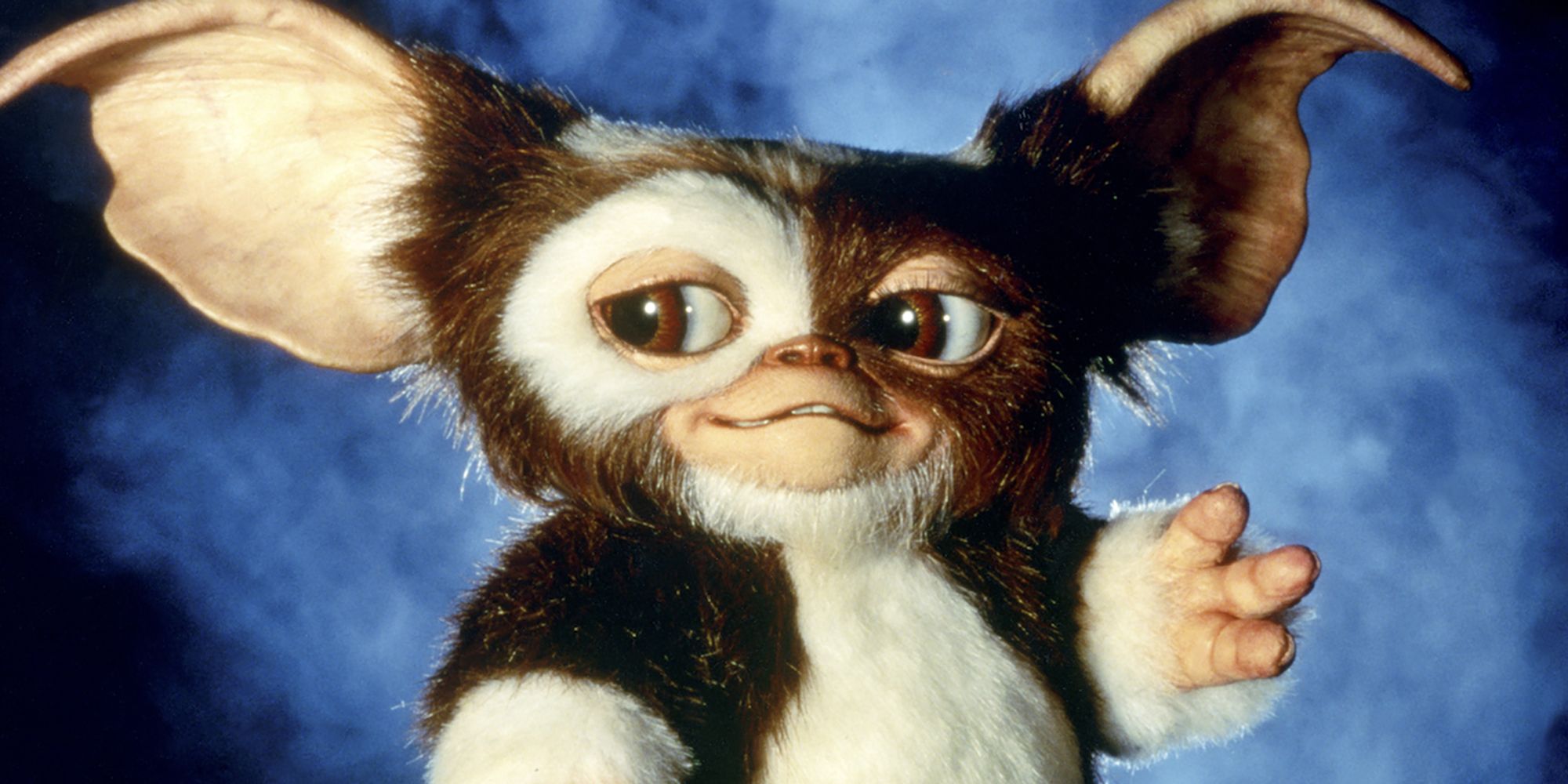 Gizmo The Mogwai From Gremlins