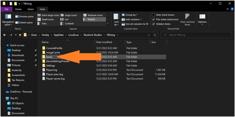 V Rising Opening The Saves Folder