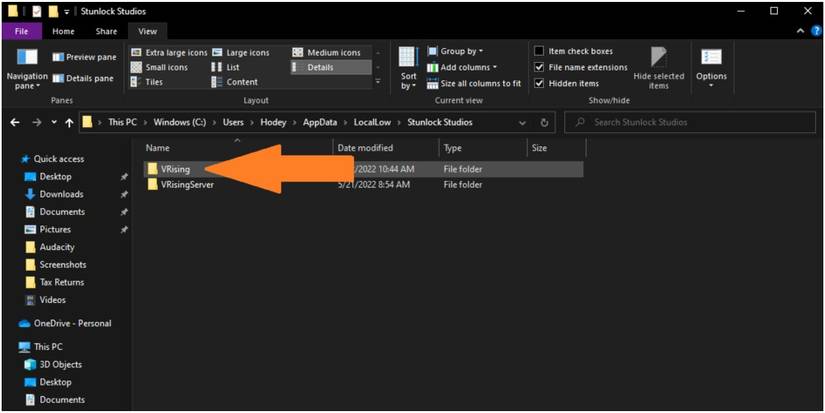 V Rising Opening The VRising Folder