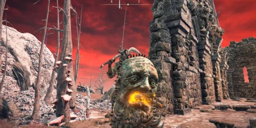 The visage shield in Elden RIng in all its might