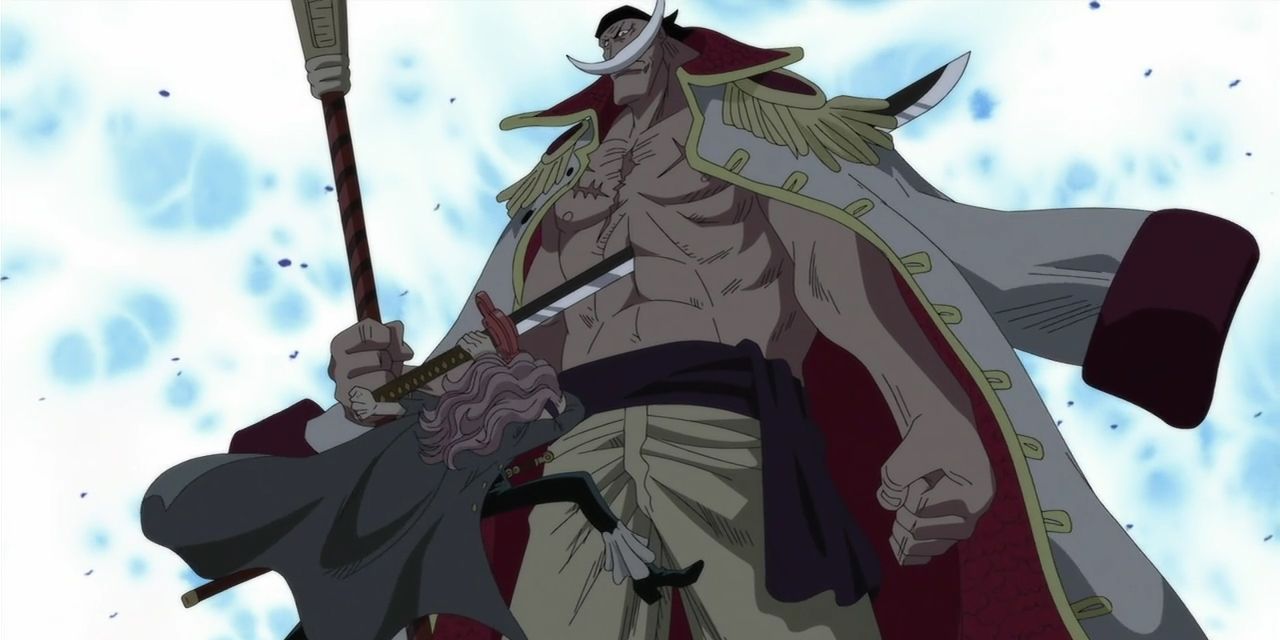 Whitebeard stabbed by Squard