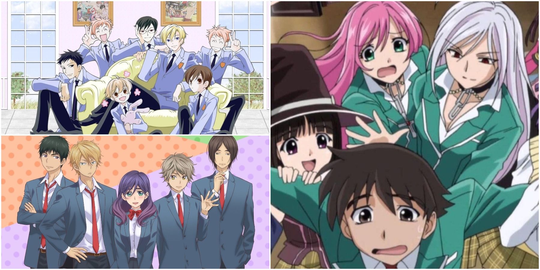 Best Harem Anime: The Reverse Harem (Part Two of the Best Harem)