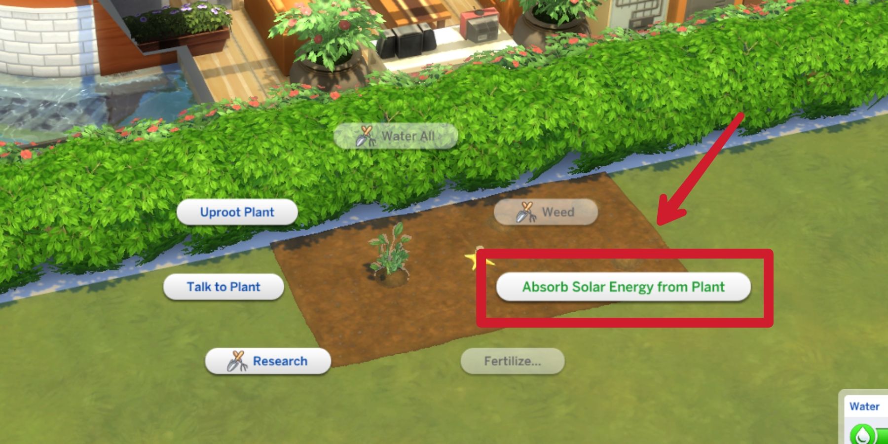 absorb energy feom plants interaction in the sims 4