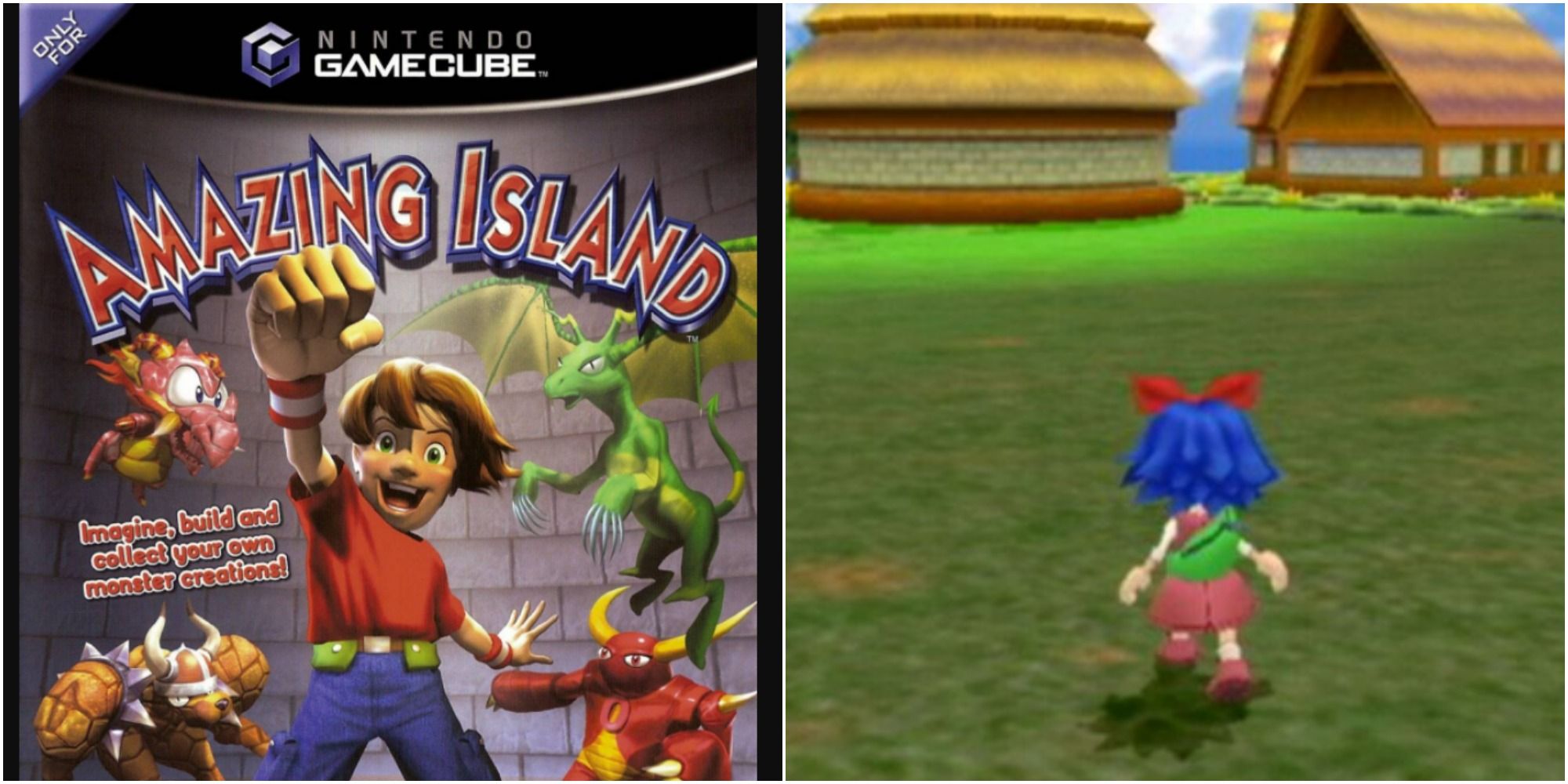amazing island gamecube box art with character and creatures and gameplay showing a character running in village featured