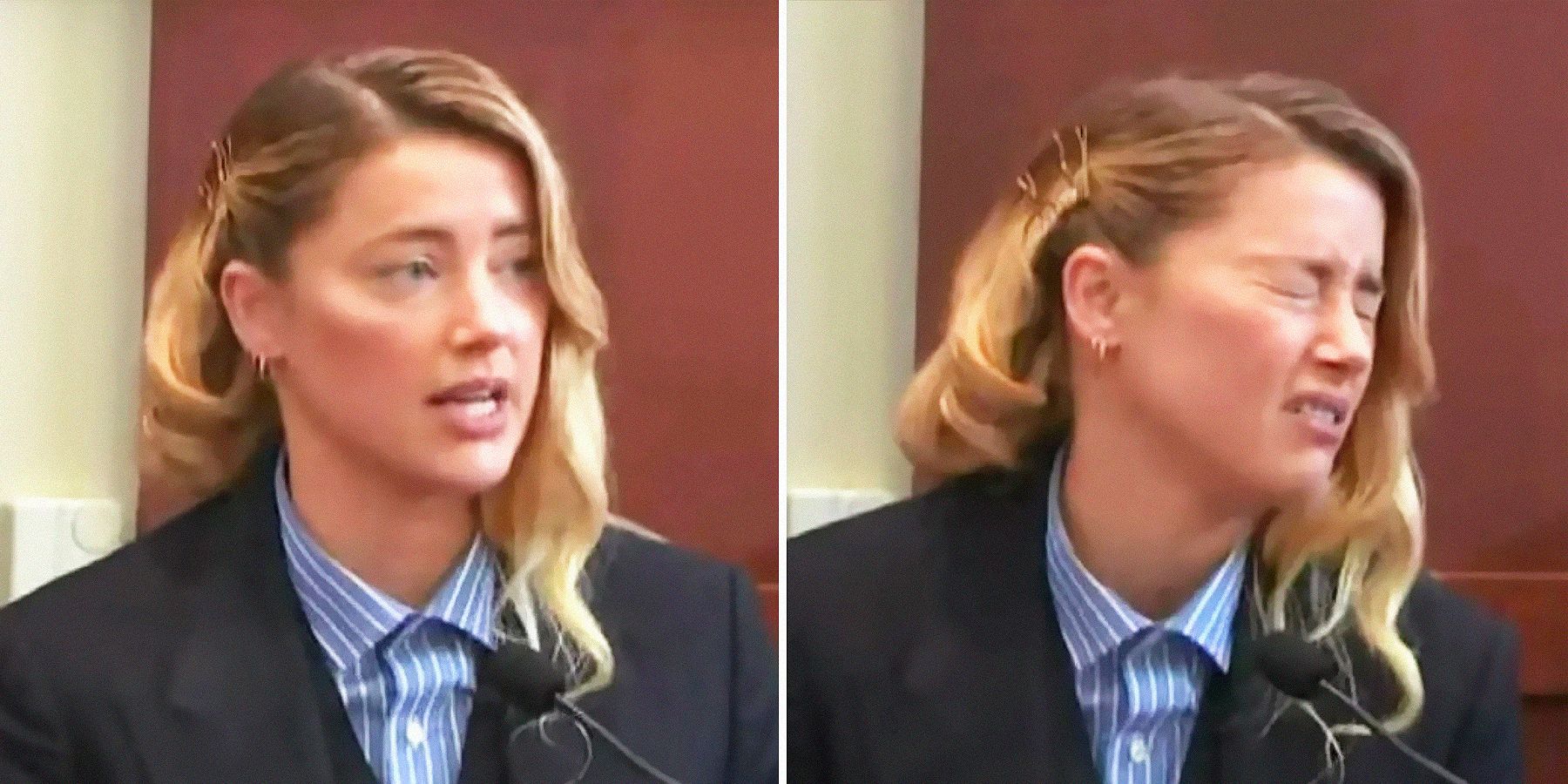 Amber Heard's 'My dog stepped on a bee' testimony mocked on TikTok The  Johnny Depp-Amber Heard defamation trial has been dominating headlines for  weeks, By lovelyti