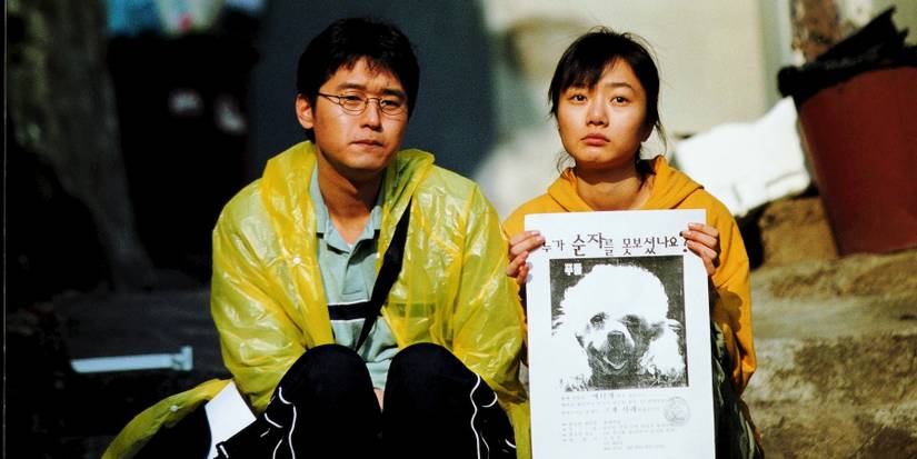 barking dogs never bite Cropped