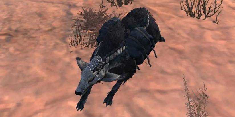 bonedog in kenshi
