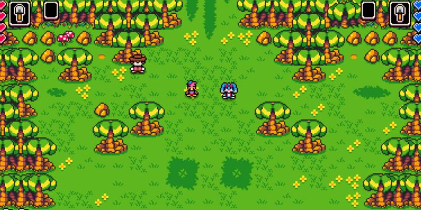 dandy and randy exploring beach island stage in dandy and randy dx