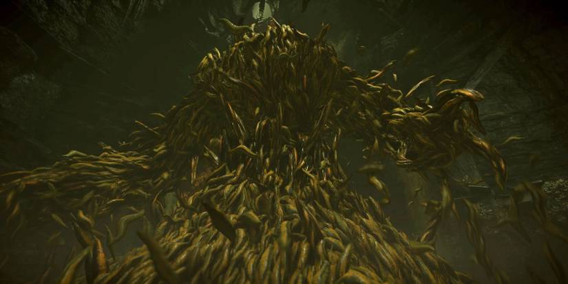 demons-souls-valley-of-defilement-leechmonger