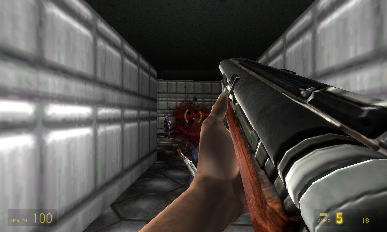 Image from an upcoming Half-Life 2 which brings a Doom-like experience to it.