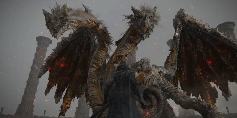 elden ring character fight dragonlord placidusax