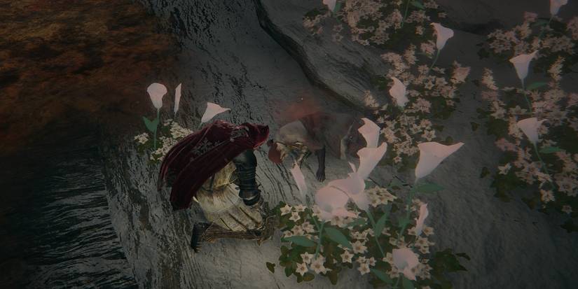 Elden Ring Millicent Death Scene