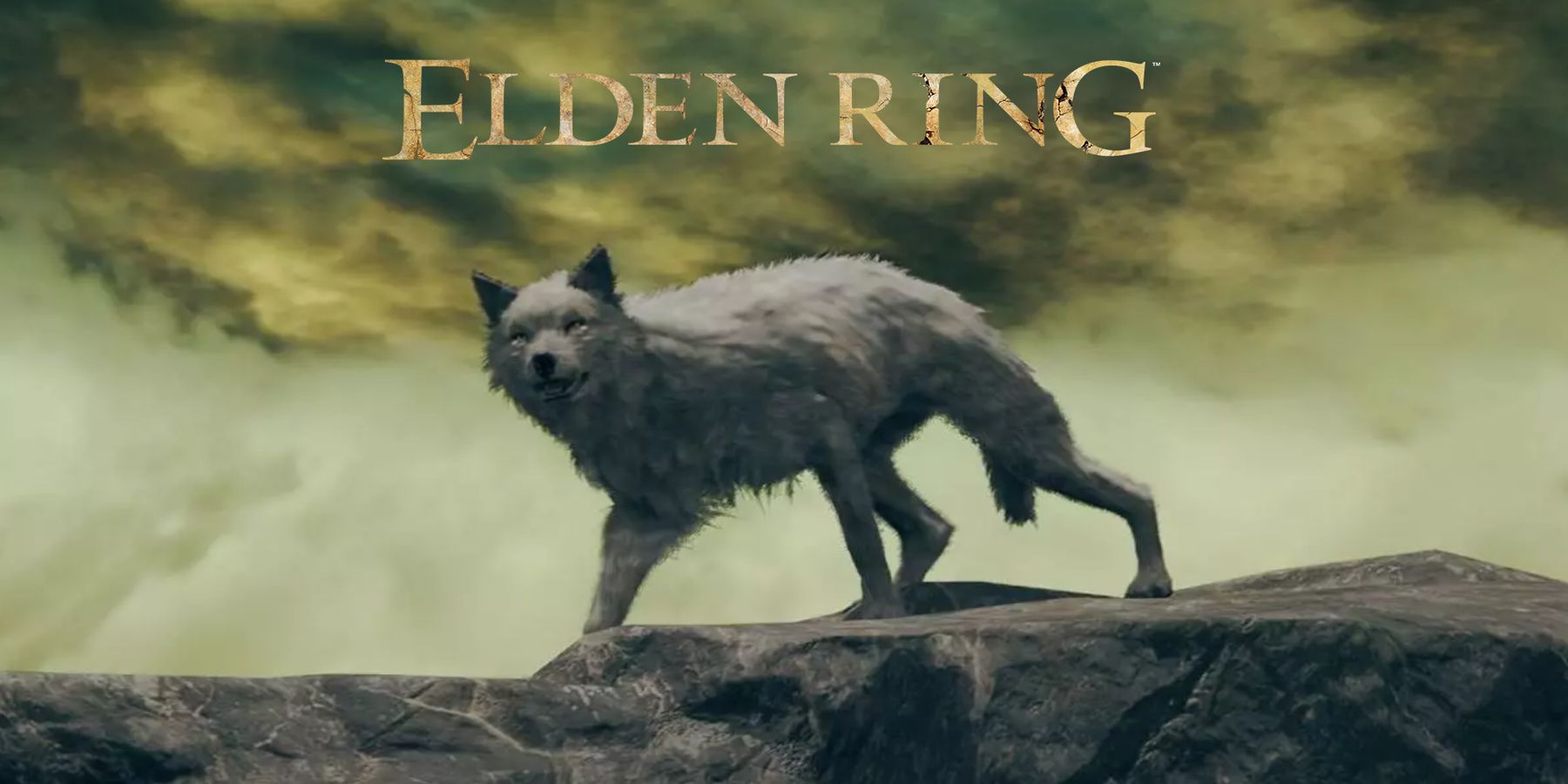 Red Wolf of Radagon Trophy • Elden Ring •