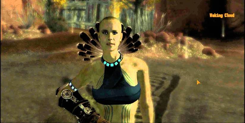 fallout nv Sorrows Outfit