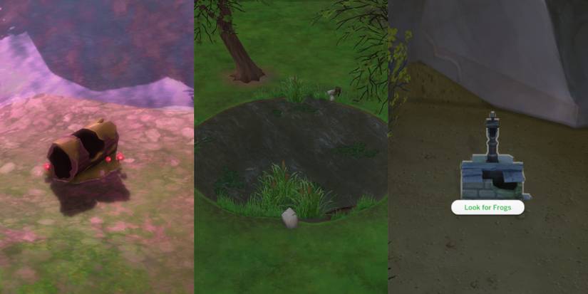 frogs location in the sims 4