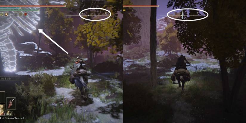 how to get to swarm of flies in elden ring