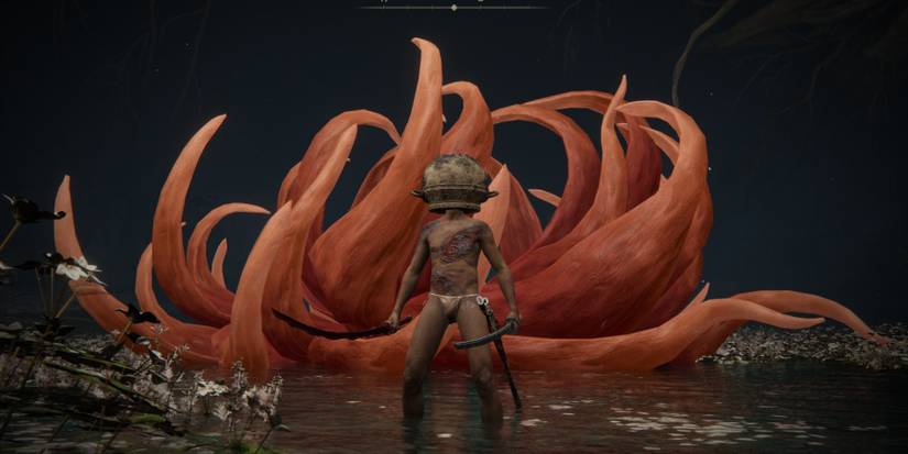 let me solo her elden ring