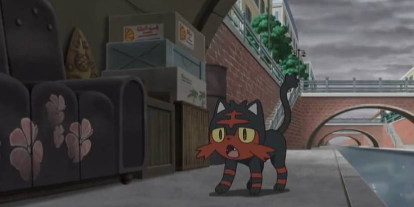 Litten Stoutland Pokemon Sun and Moon