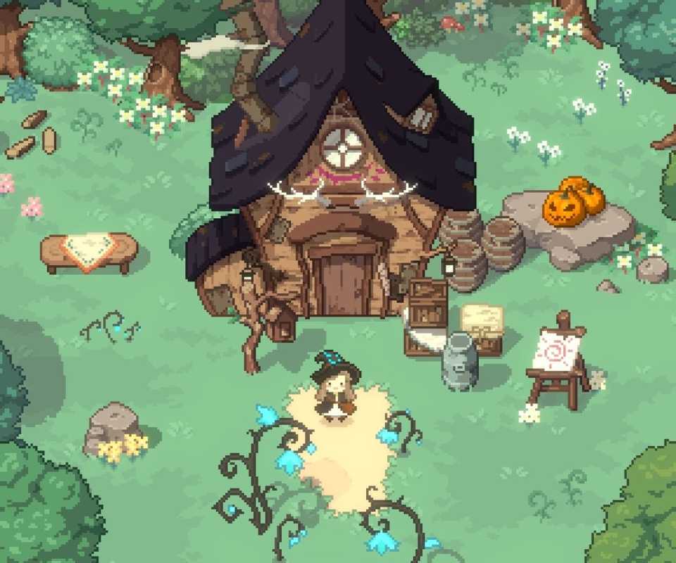 little-witch-in-the-woods-2