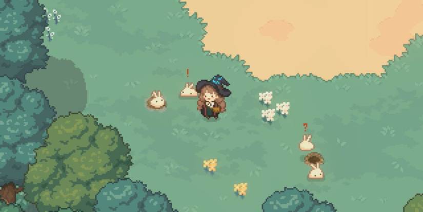 little witch in the woods foraging