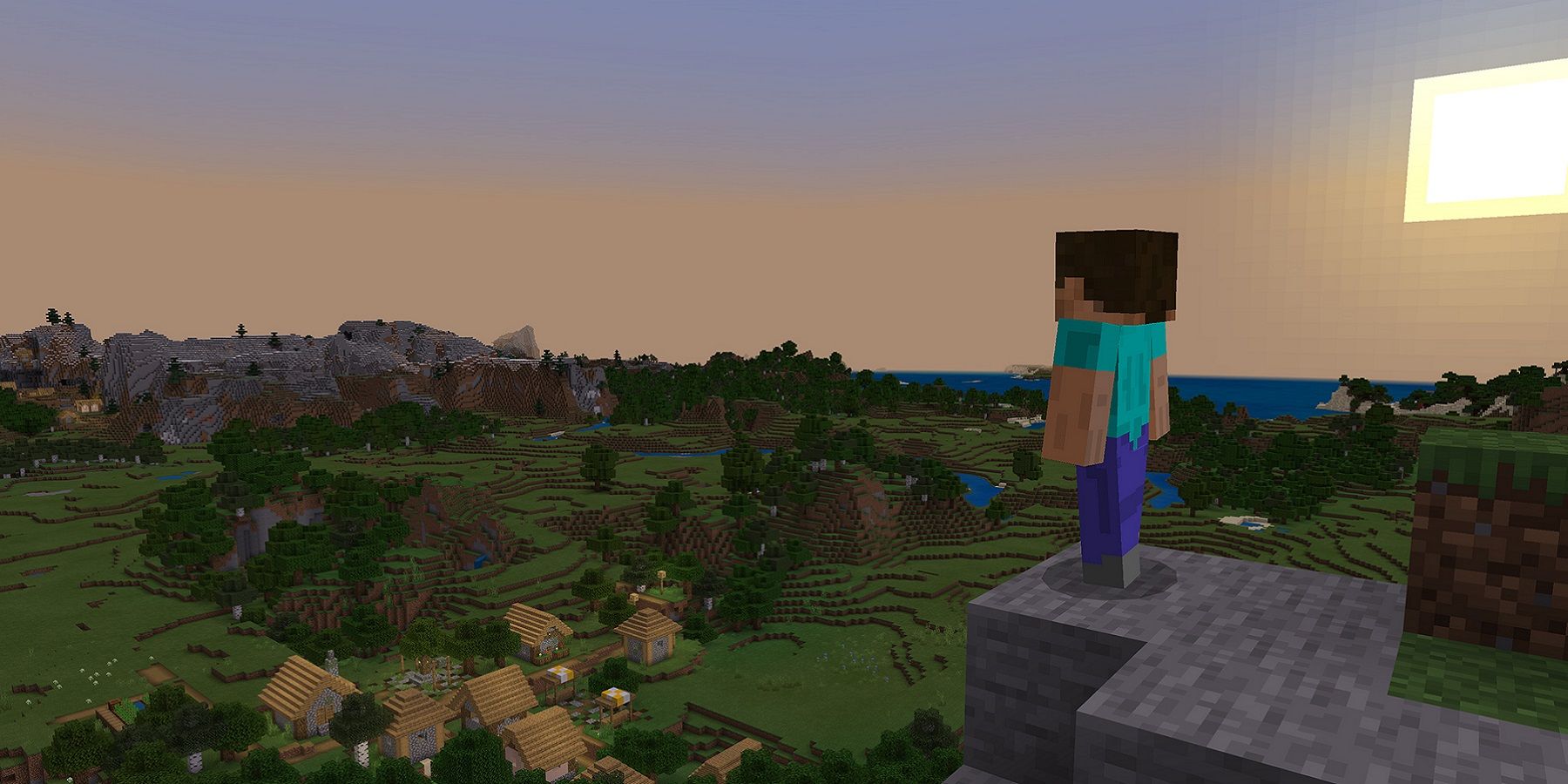 Image from Minecraft showing Minecraft Steve looking out into the horizon.