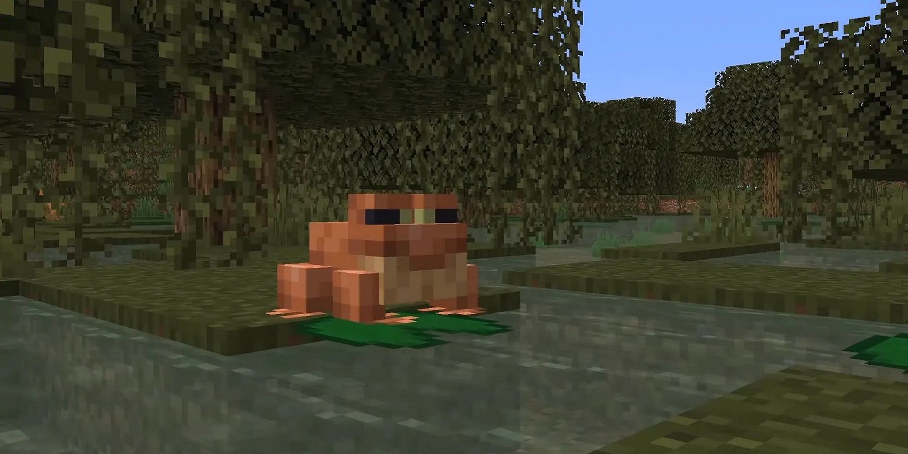 Screenshot from Minecraft showing a frog on a lily pad.