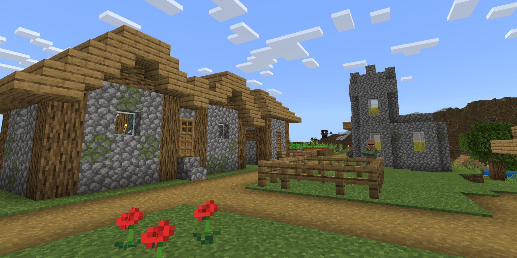 Minecraft store the village