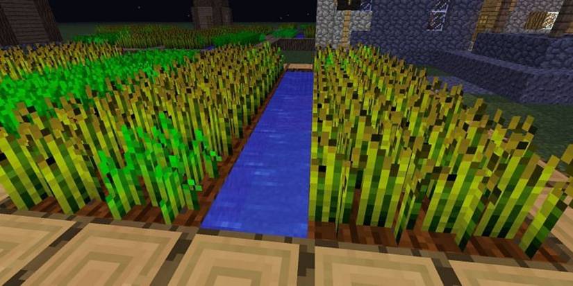 minecraft wheat farm dark water wood village