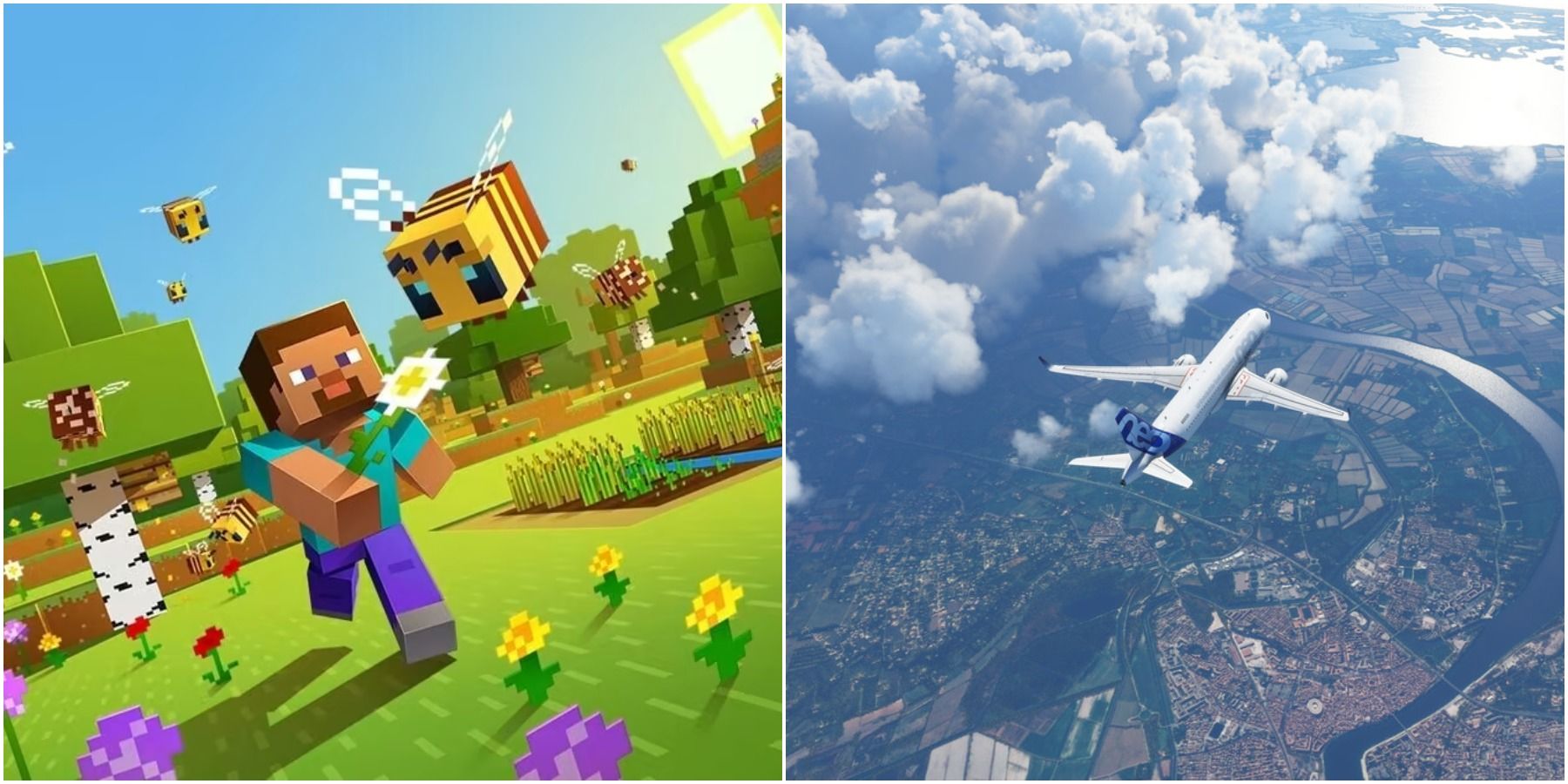 (Слева) Minecraft (Справа) Microsoft Flight Simulator