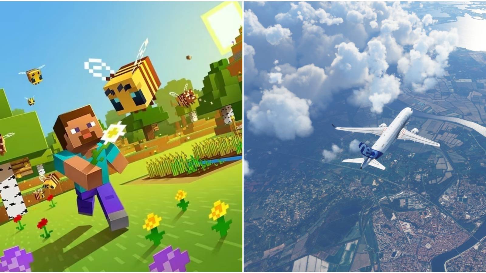 (Left) Minecraft (Right) Microsoft Flight Simulator
