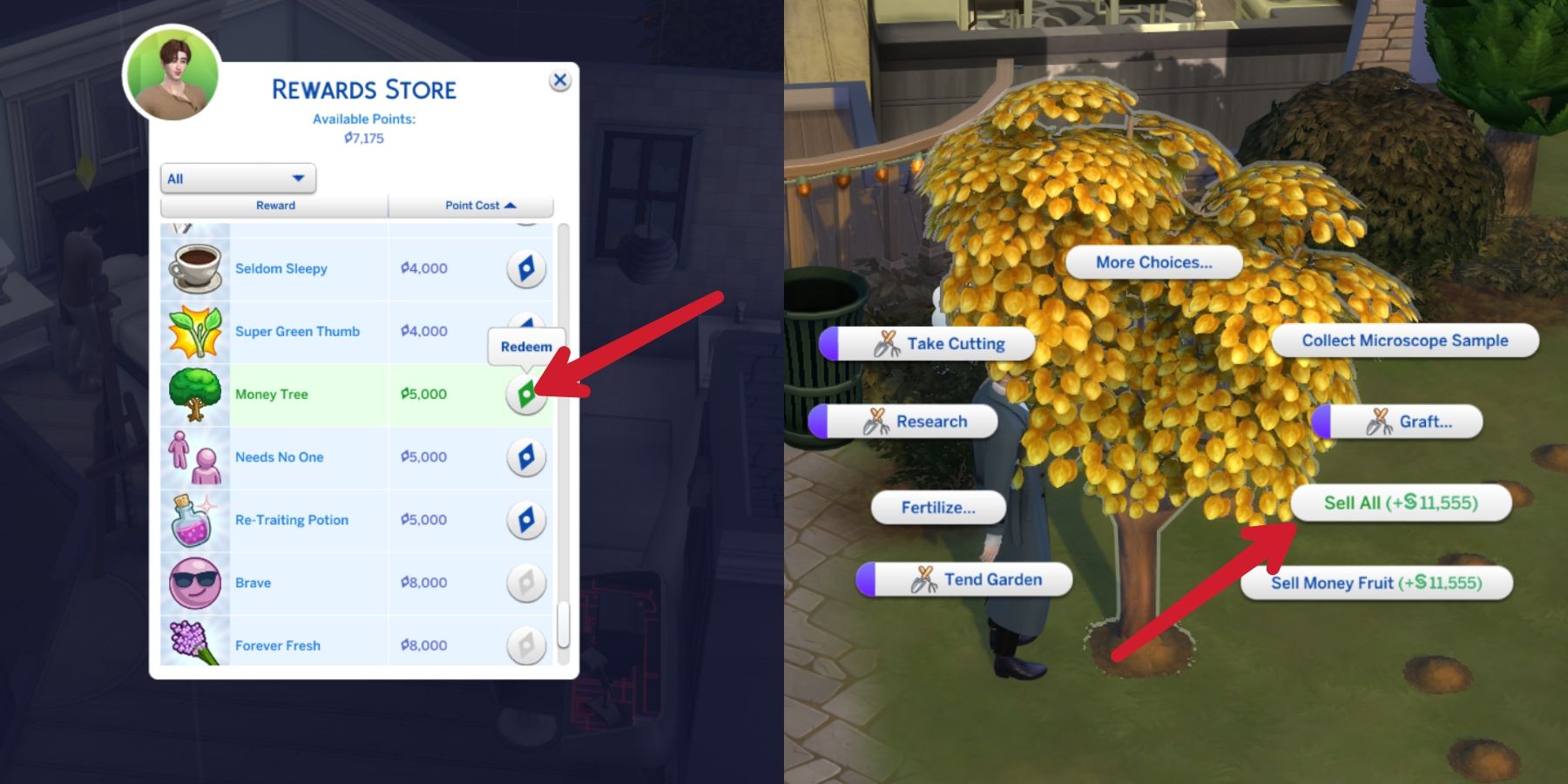 money tree in the sims 4