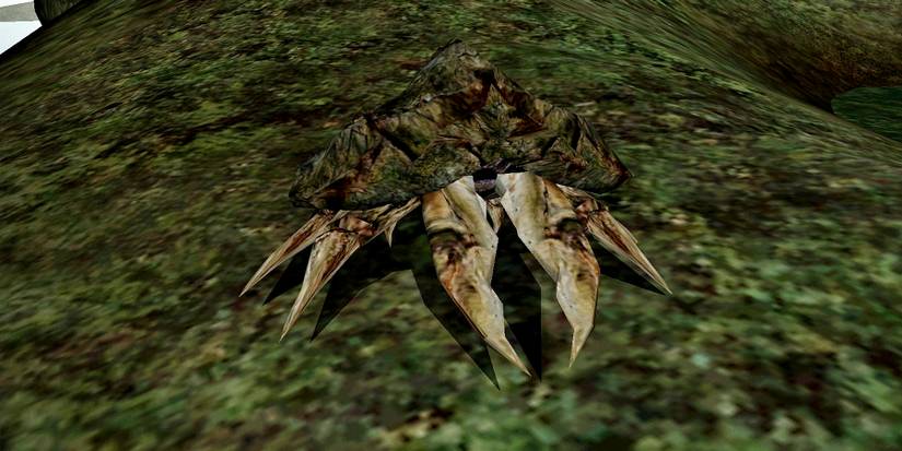 morrowind cat mod mudcrab
