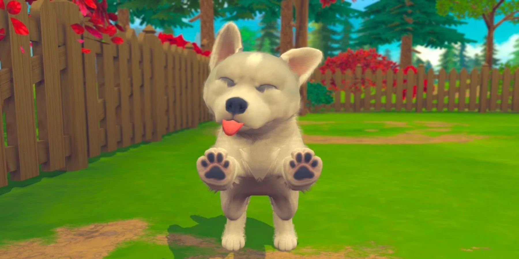 Will there be on sale nintendogs for switch