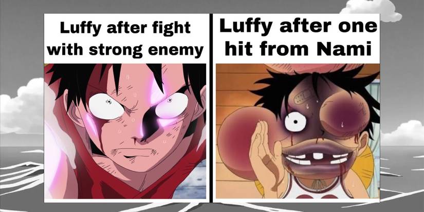 one piece luffy fight nami meme