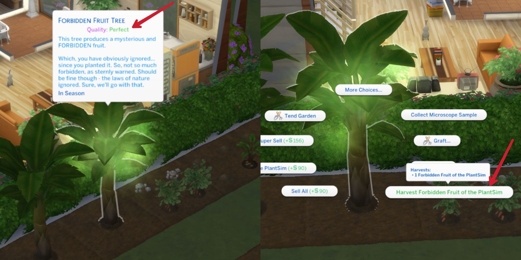 perfect quality forbidden fruit tree in the sims 4