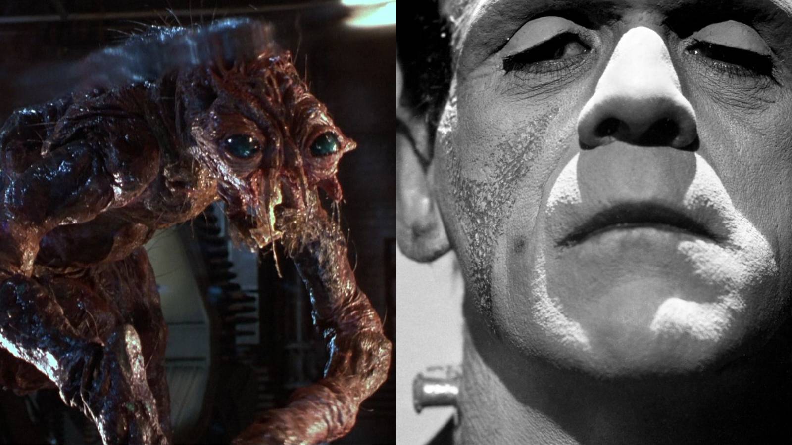 left: The Fly; right: Frankenstein