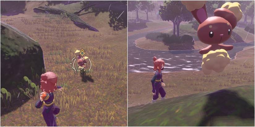 pokemon legends arceus buneary