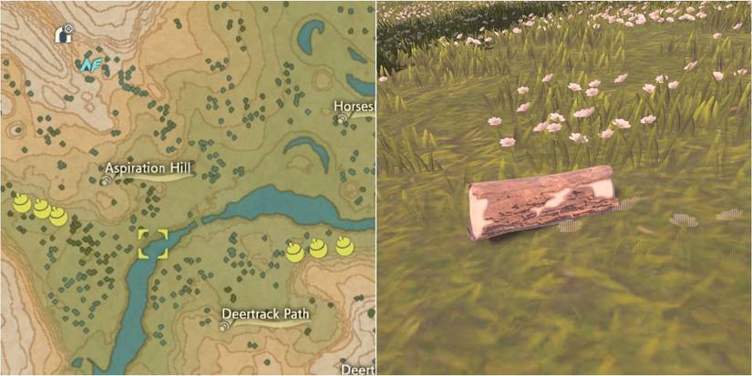 pokemon legends arceus wood