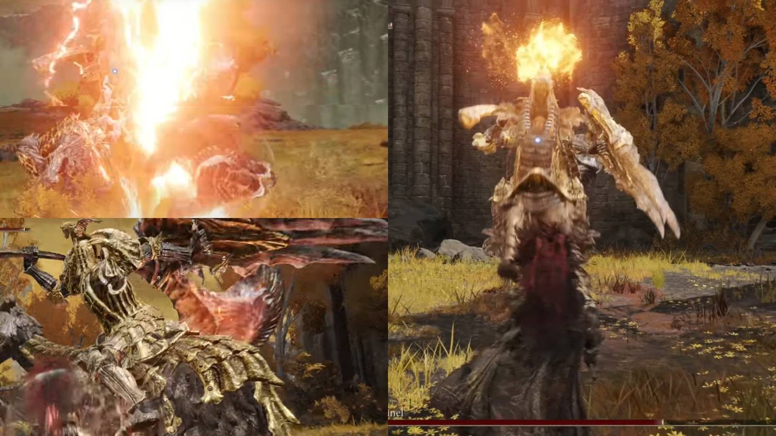 player fighting the Draconic Tree Sentinel