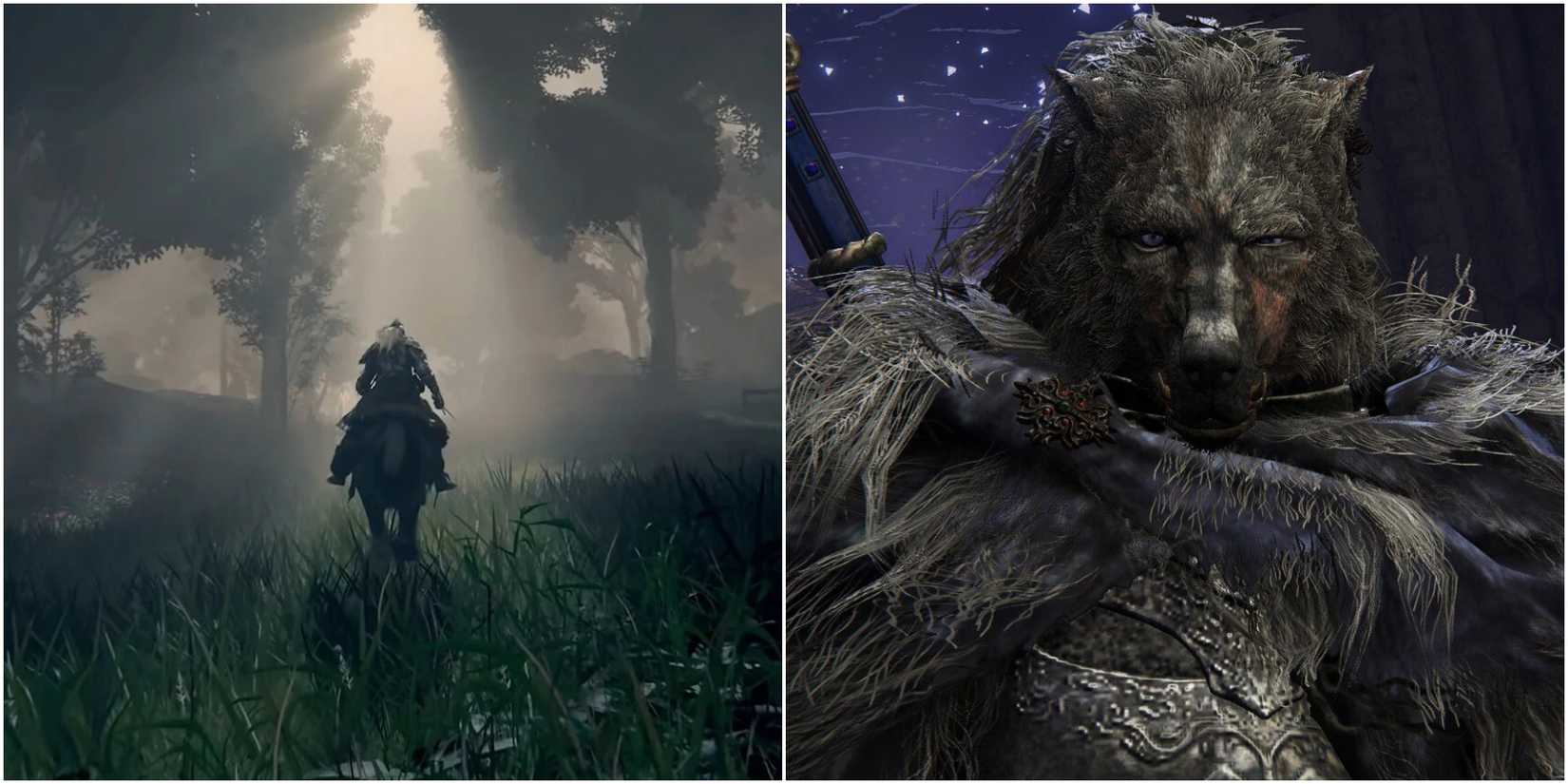 Elden Ring Mistwood Ruins Walkthrough Featured Image